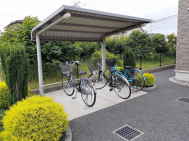 ダンデライオン その他4