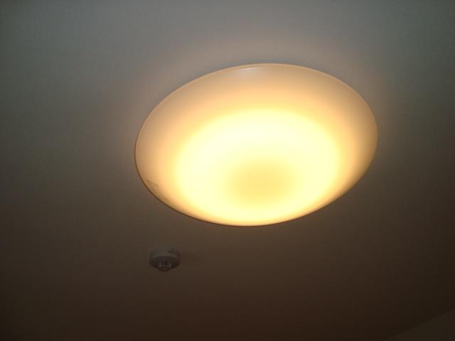 Gracia（グレーシア） その他6