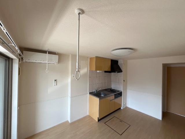 プルミエカーヤ その他6