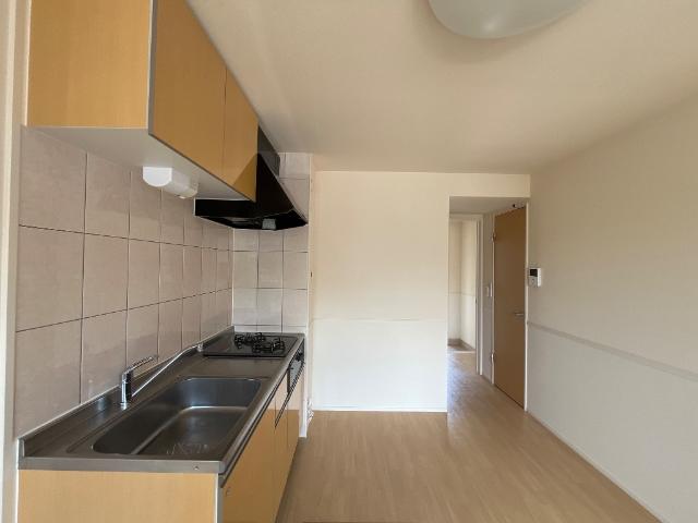 プルミエカーヤ その他8