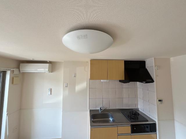 プルミエカーヤ その他15