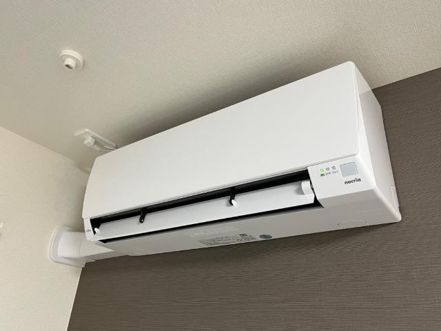 キルシュ・ブリュ－テA その他12