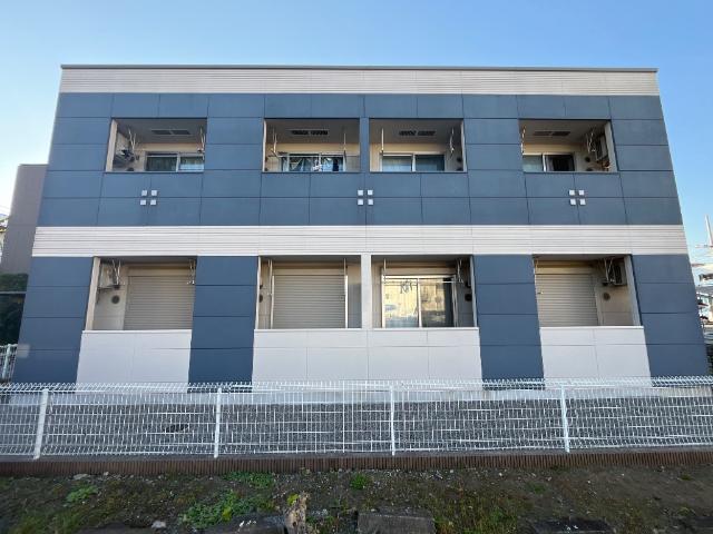 Ｂｏａ　ｓｏｒｔｅ（ぼあ　そるて） 　 外観