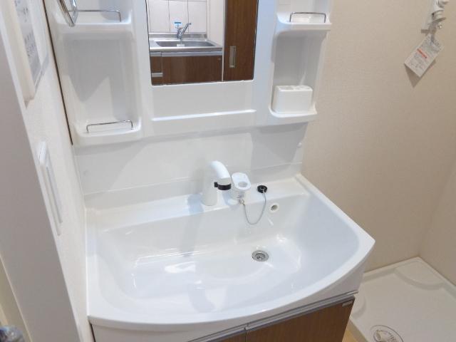 Ｂｏａ　ｓｏｒｔｅ（ぼあ　そるて） 　 その他1