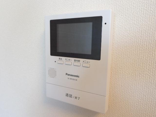 Ｂｏａ　ｓｏｒｔｅ（ぼあ　そるて） 　 その他3