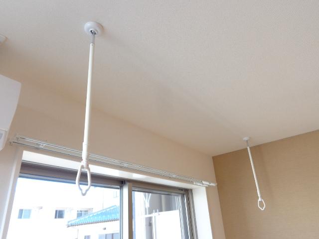 Ｂｏａ　ｓｏｒｔｅ（ぼあ　そるて） 　 その他15