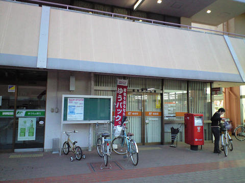 コモド　ピノ　Ⅳ その他外観4