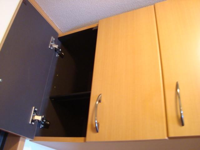 シュノンソー その他8