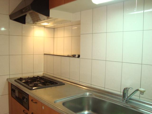 シュノンソー キッチン