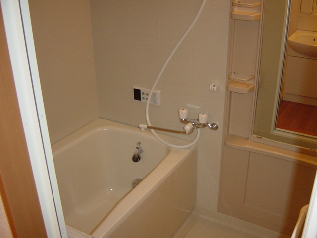 シュノンソー 風呂画像