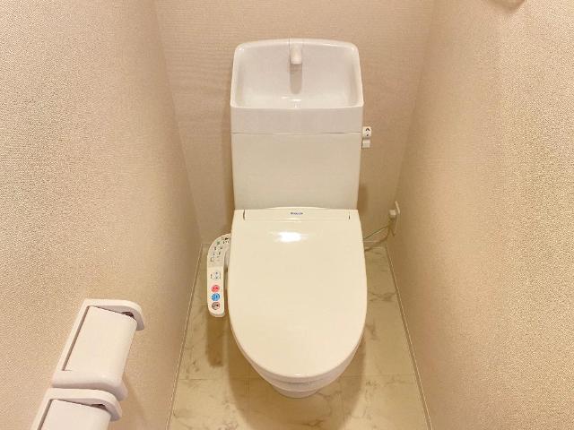 アベールS その他1