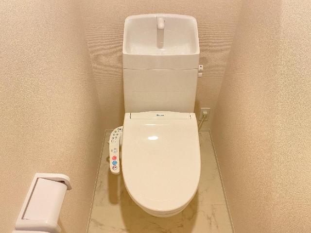 ステラートⅡ その他2