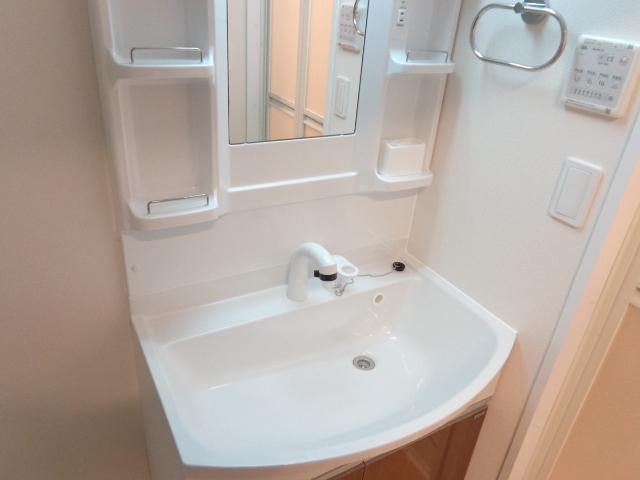 Ｂｏａ　ｓｏｒｔｅ（ぼあ　そるて） 　 その他1