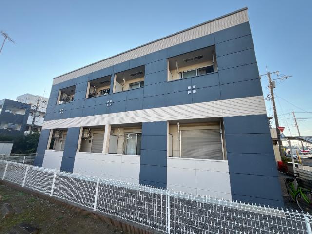 Ｂｏａ　ｓｏｒｔｅ（ぼあ　そるて） 　 その他外観1