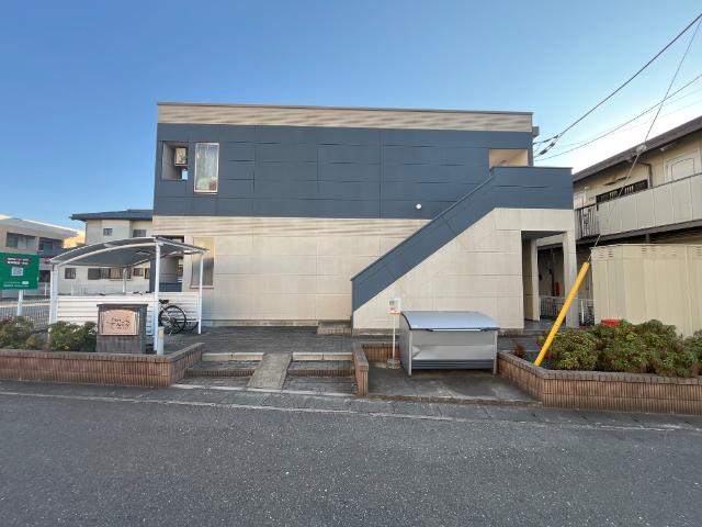 Ｂｏａ　ｓｏｒｔｅ（ぼあ　そるて） 　 その他外観2