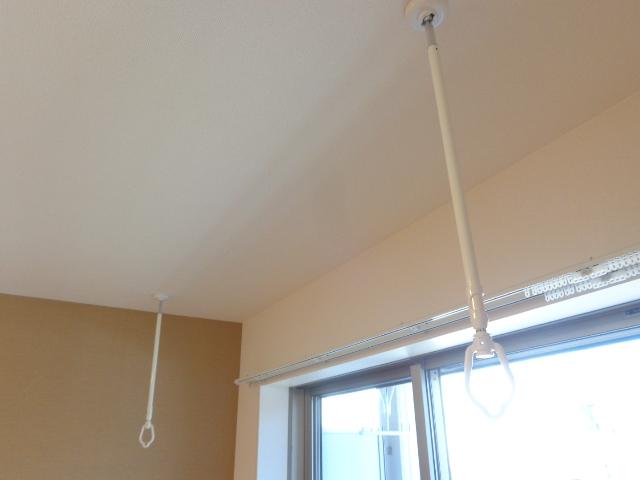 Ｂｏａ　ｓｏｒｔｅ（ぼあ　そるて） 　 その他10