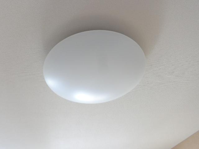 Ｂｏａ　ｓｏｒｔｅ（ぼあ　そるて） 　 その他14