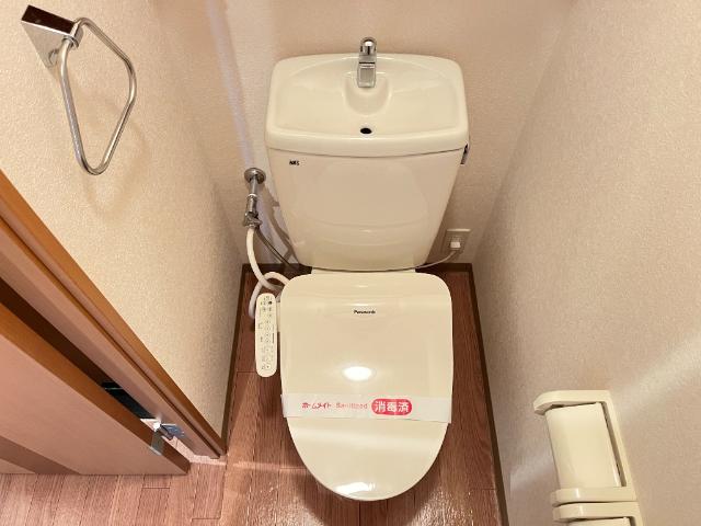 シャルトルⅠ その他1