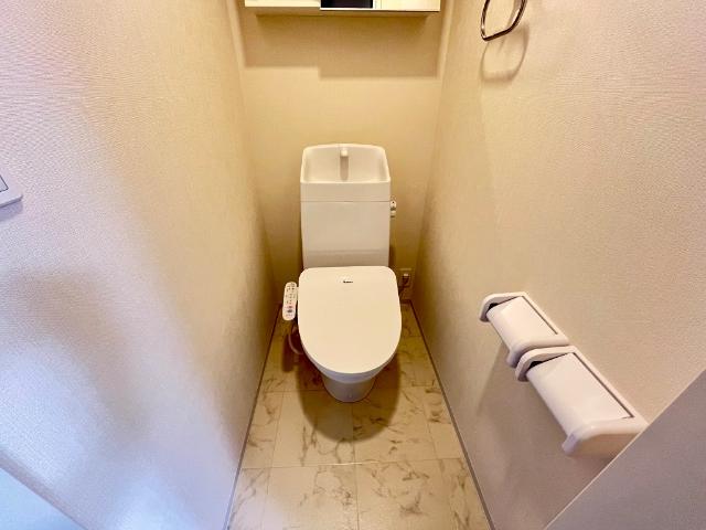 シルクⅡ その他2