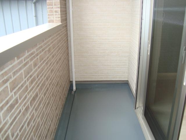 プリムローズ その他2