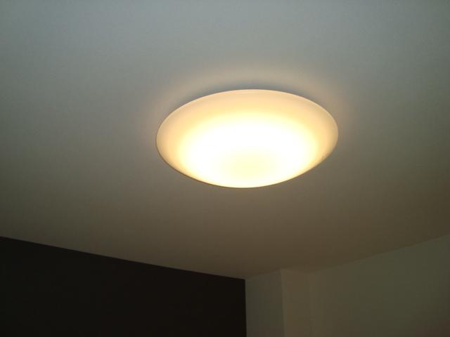 プリムローズ その他5