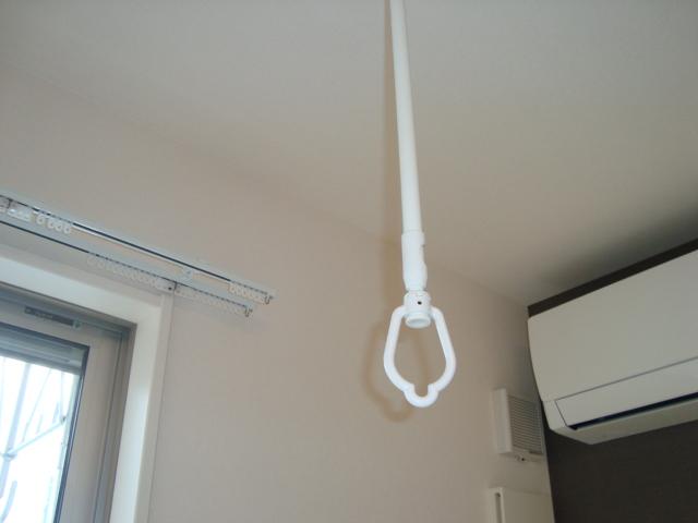 プリムローズ その他7