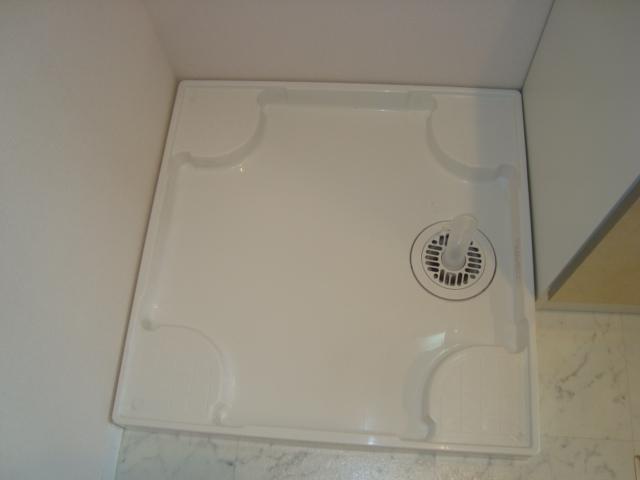 プリムローズ その他12