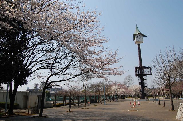 アヴェニール陽向 その他外観4