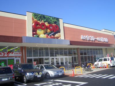 Cerezo（セレッソ） その他15