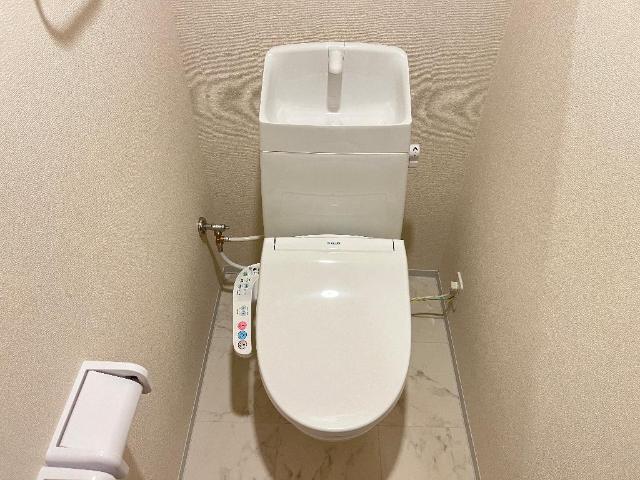 ラウレア その他1