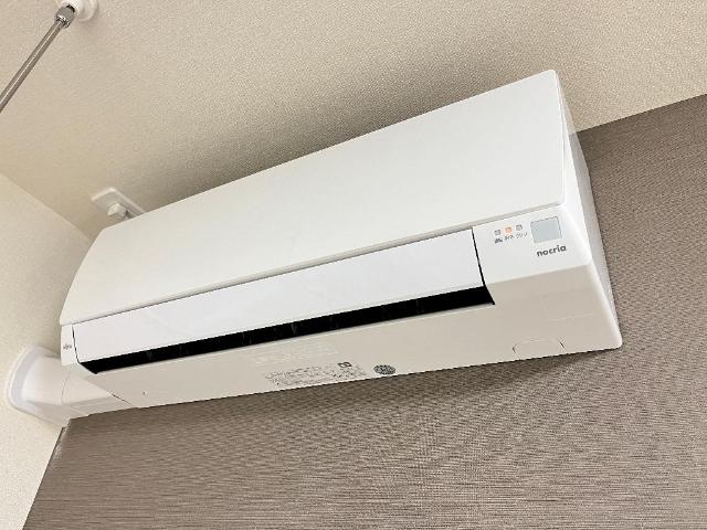 ラウレア その他12