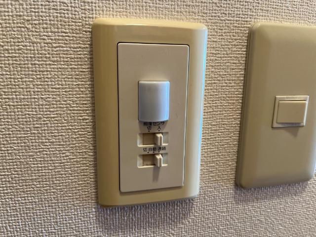 ブリューテ その他15