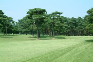 エトワールA その他外観5