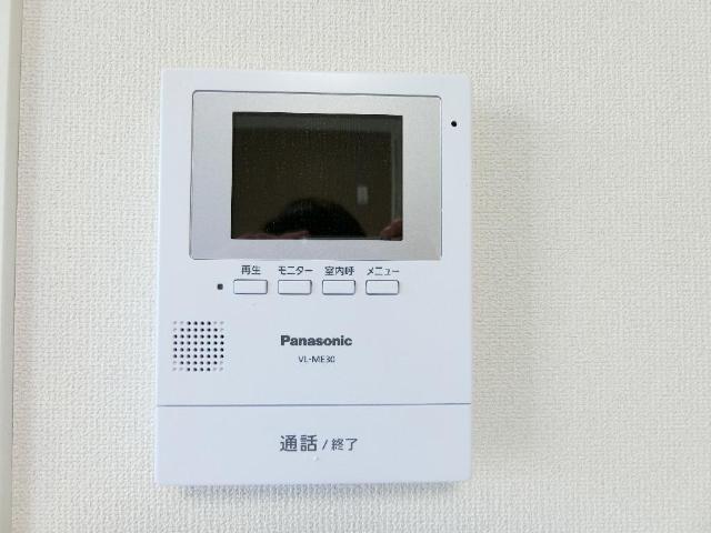 プルメリア（Plumeria） その他4