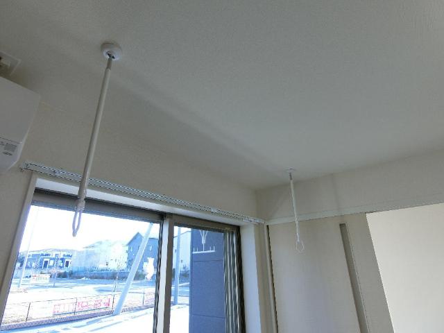 プルメリア（Plumeria） その他6