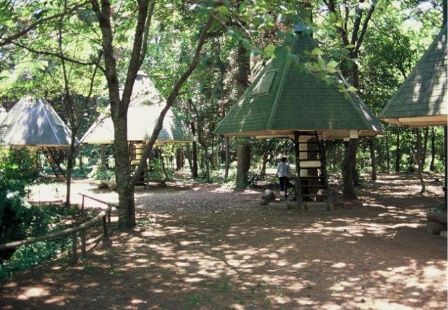 つくば市高野新築アパート（仮 その他