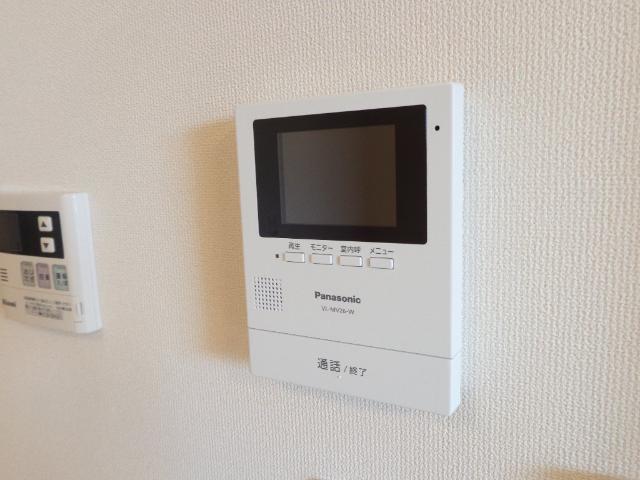 プルミエカーヤ その他