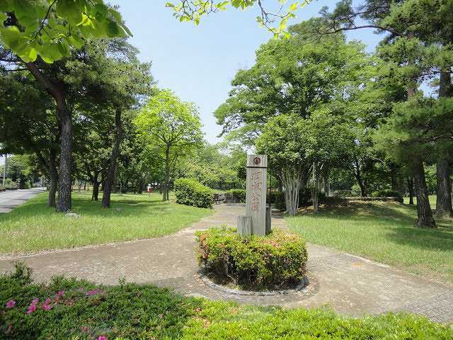 エアリーフォーリスト その他