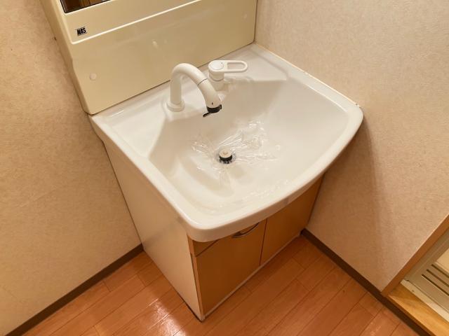 KASUMIヒルズ 洗面所