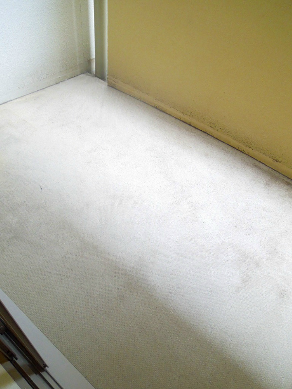 エステムプラザ京都御所ノ内REGIA ベランダ