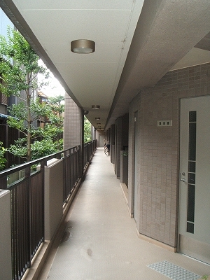MNS天ヶ池 その他