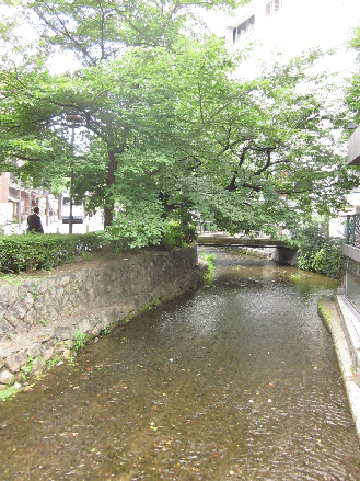 ステラム 海または川