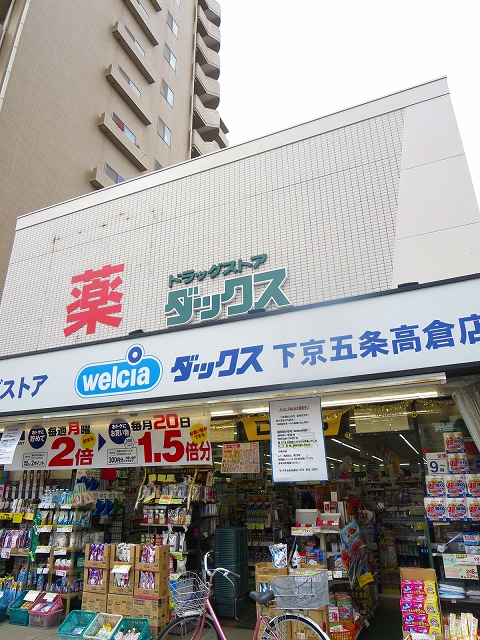 ビラ・アペックス京都和 ドラッグストア