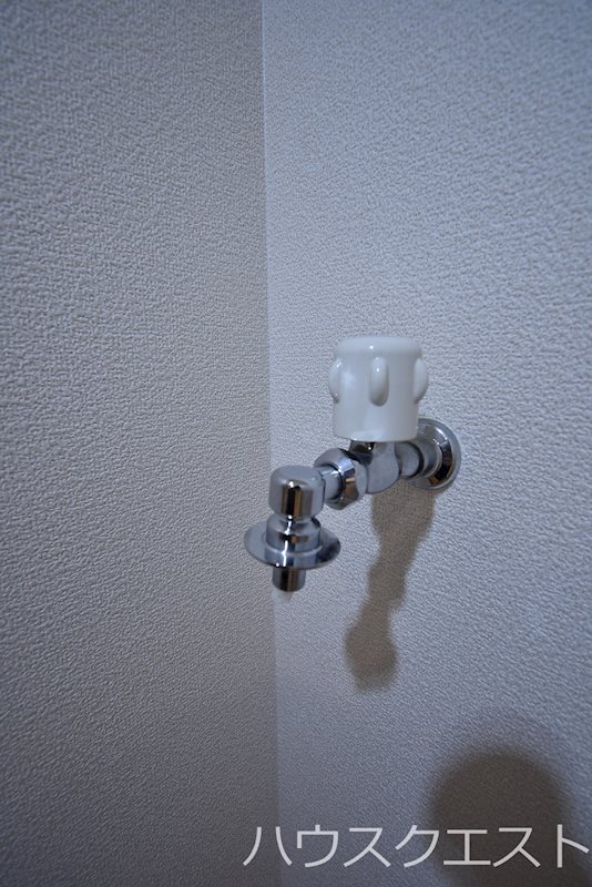 ステラム その他