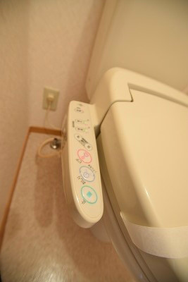 シャンティ1618 その他