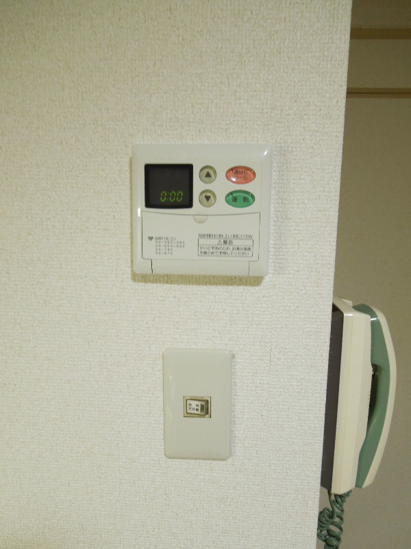 エザーンスあおい その他