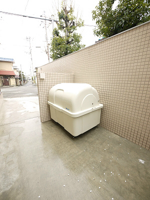 VIOLA IWASA その他