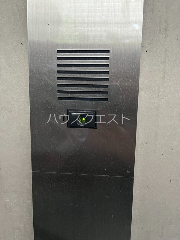 VIOLA IWASA その他