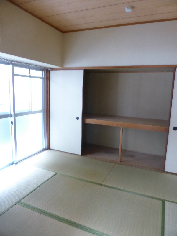セノータ その他