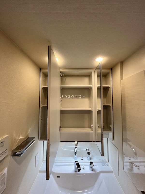 プレサンスロジェ京都西大路 洗面所